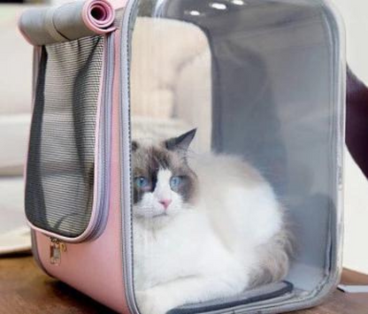 Cat Transport Bag